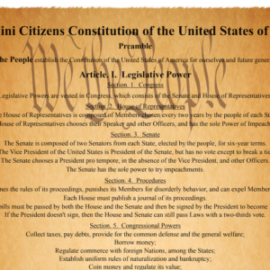 US Mini Citizens Constitution Poster